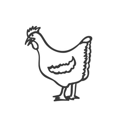 The Beak-to-Tail Chicken Box