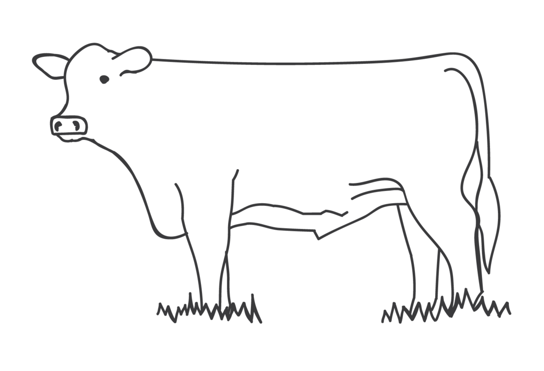 thedorrigobutcher-cow-large-nobg