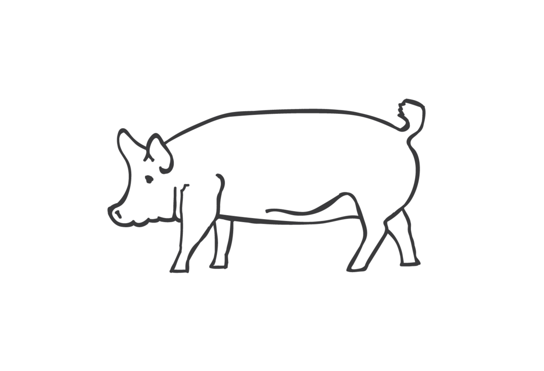 thedorrigobutcher-pig-large-nobg