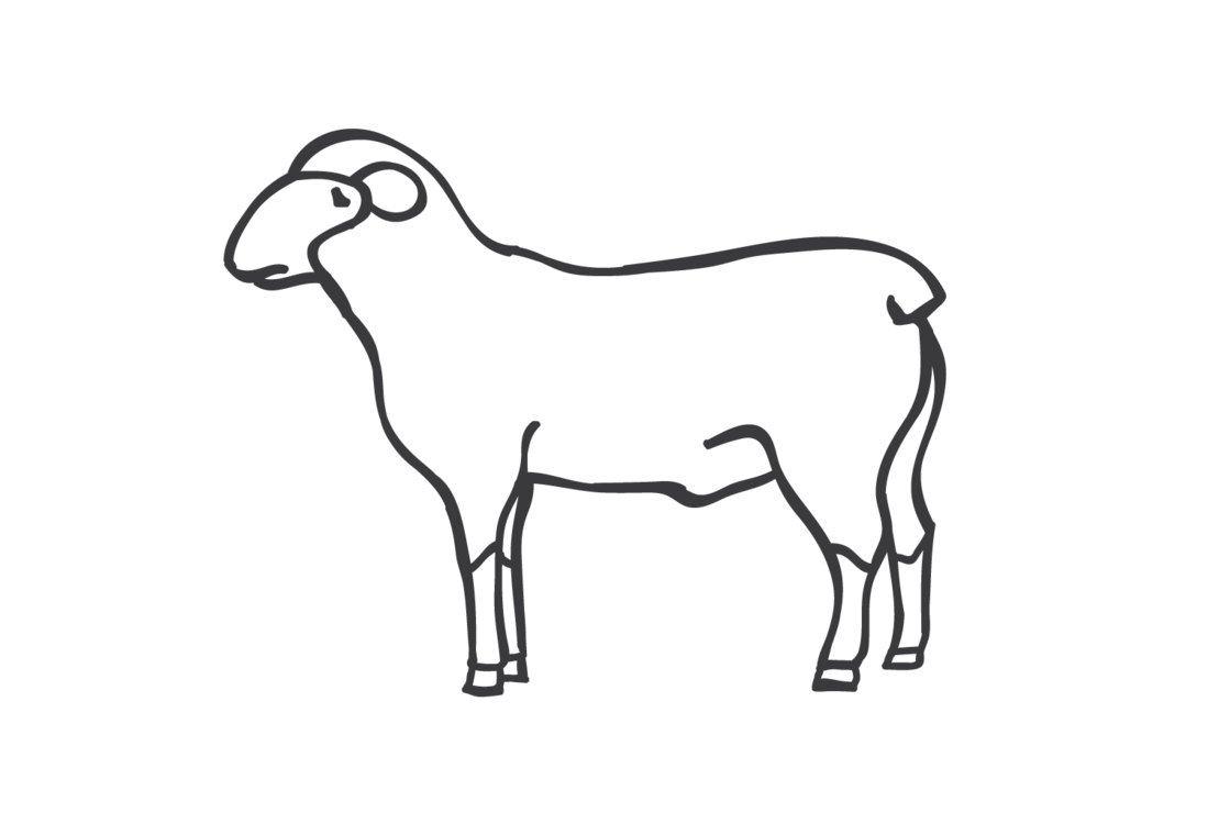 thedorrigobutcher-sheep-large-nobg